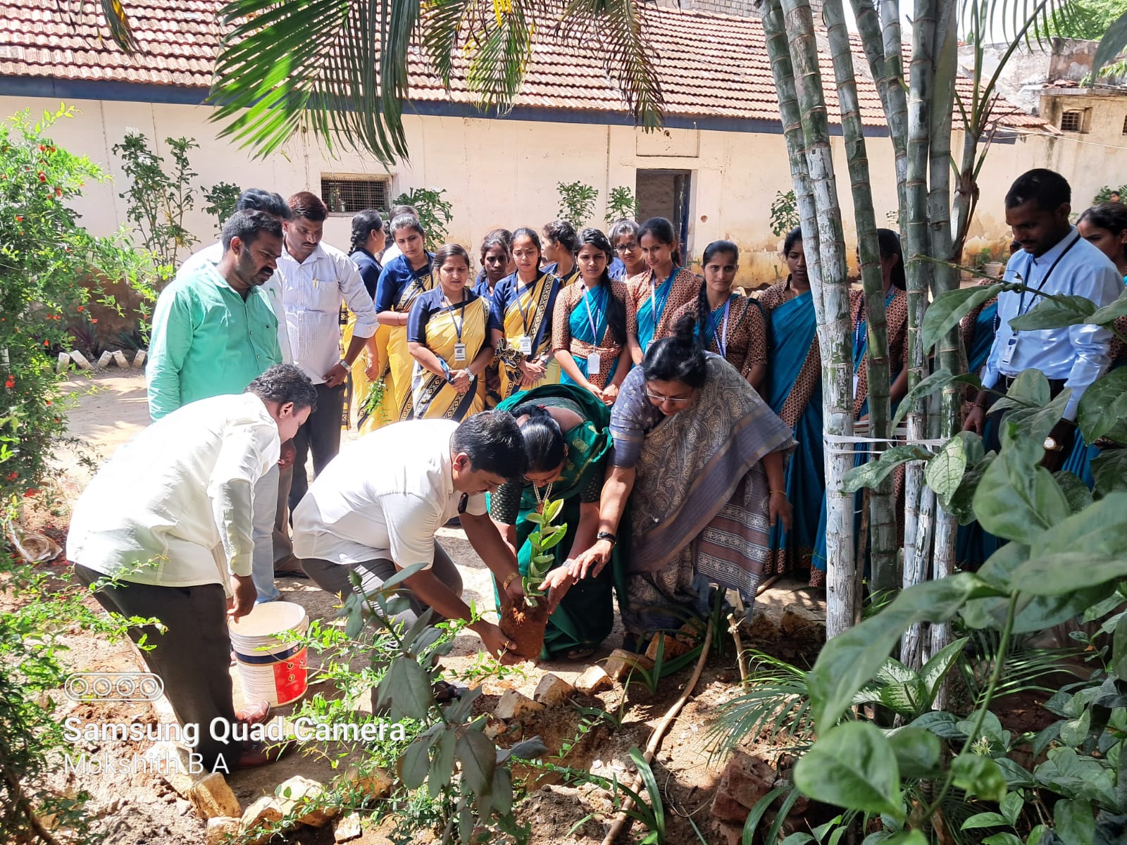 world Environmental day